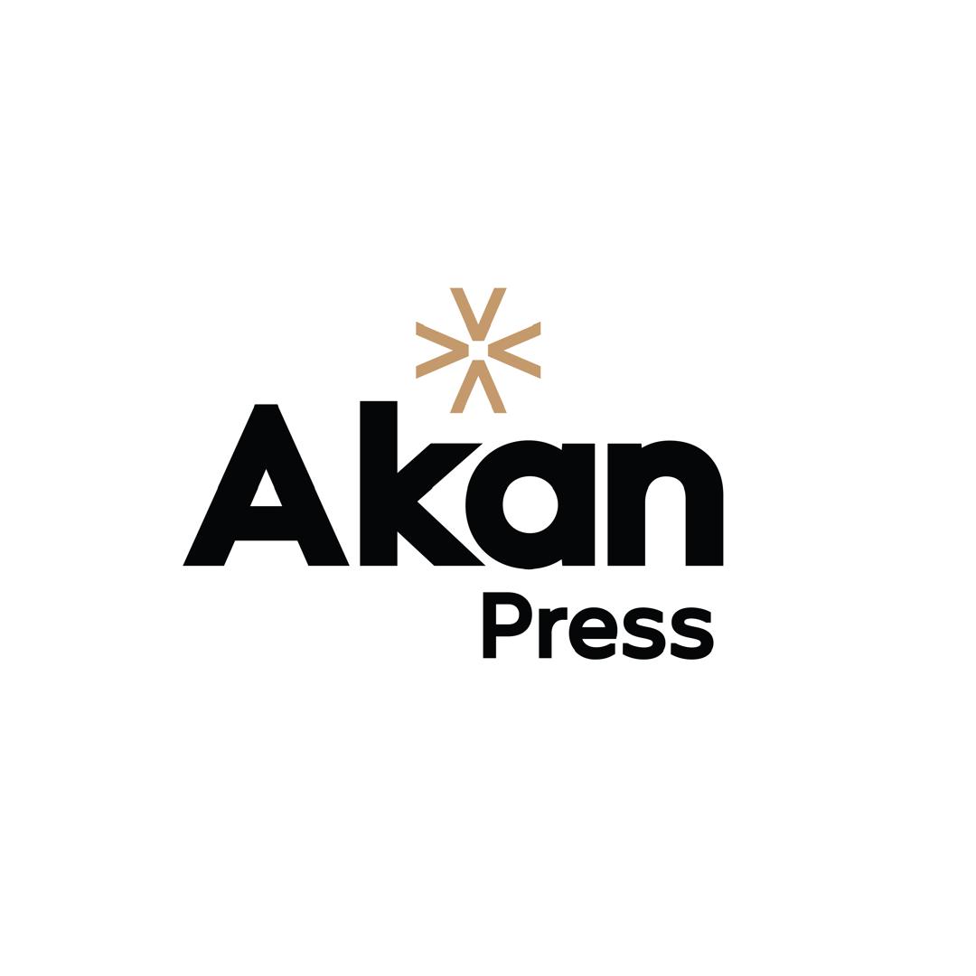 Wordpress Blog
